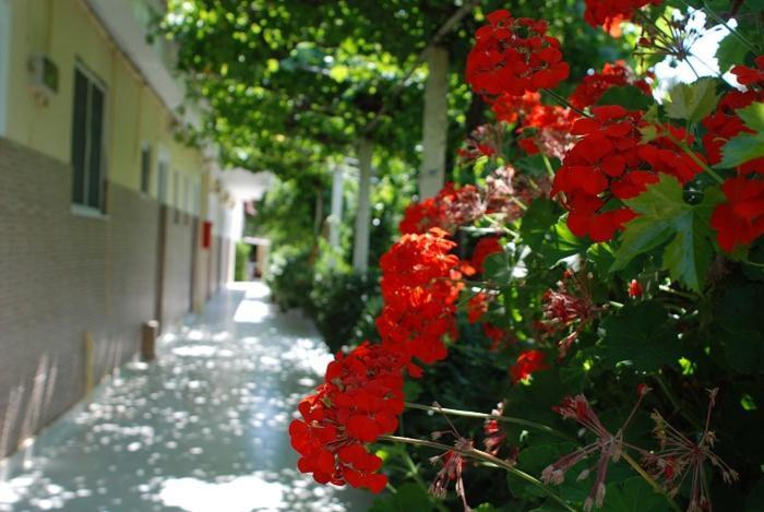 Manao Summer House Tsilivi  Exterior photo